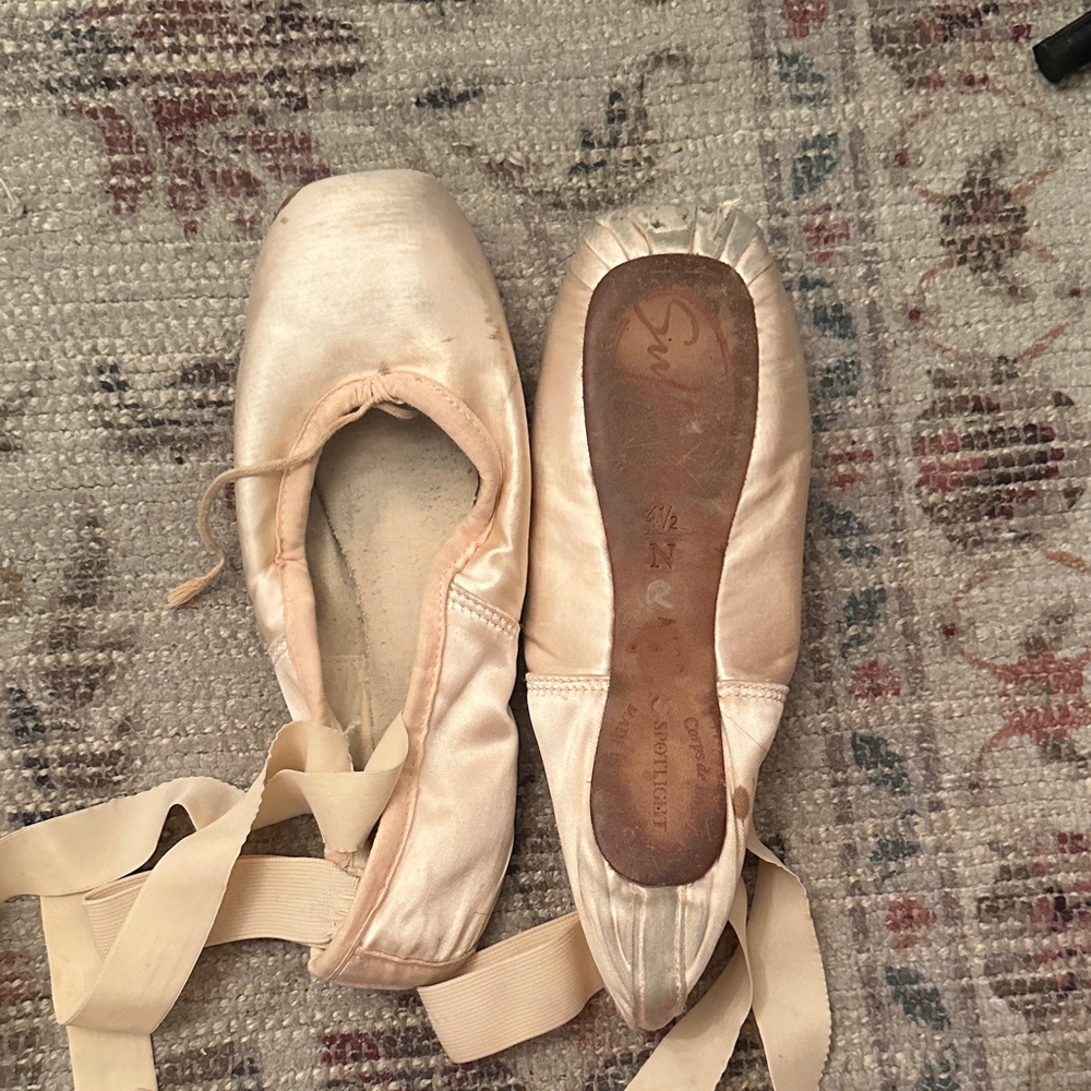 Old smelly used petite elegant Satin Pointe shoes